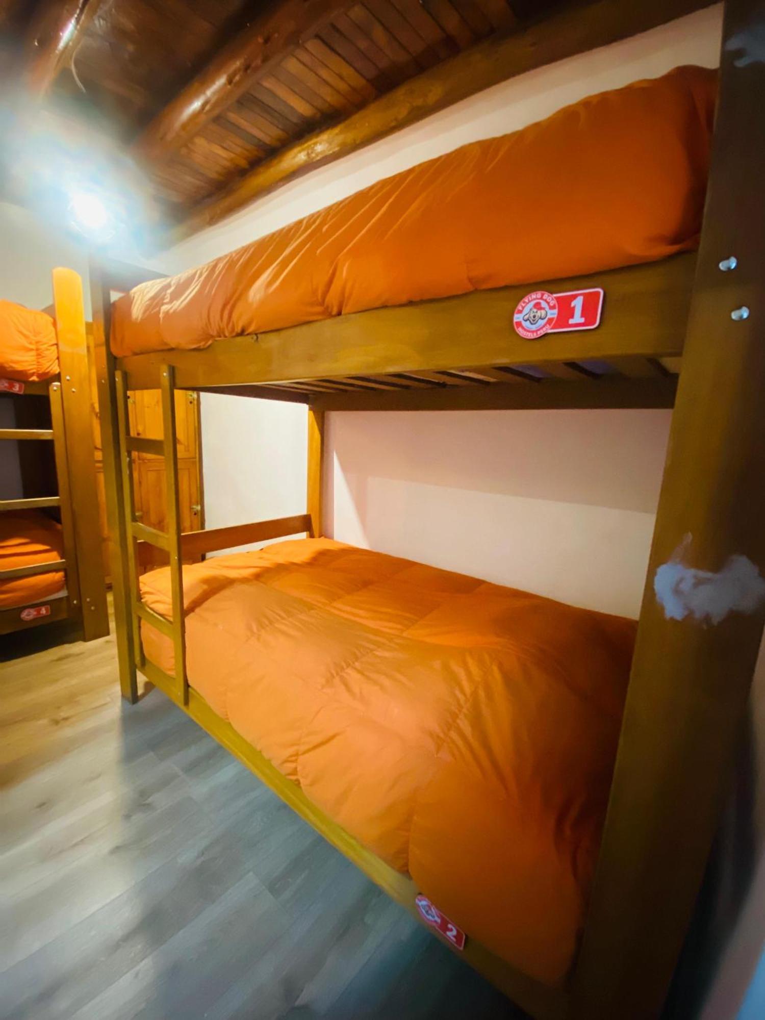 Flying Dog Hostel كوسكو المظهر الخارجي الصورة